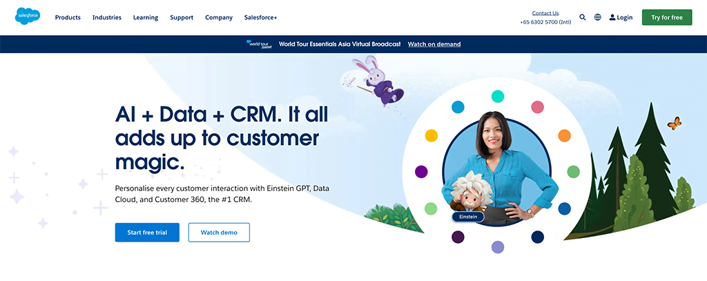 Salesforce CRM Software