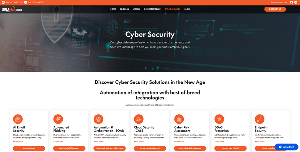 SEMNet Top Cyber Security Consultant